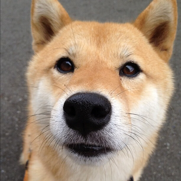 Kaiyun(中国)开云-轻量化车身：速度更快的秘密武器，轻量化车身背景和意义