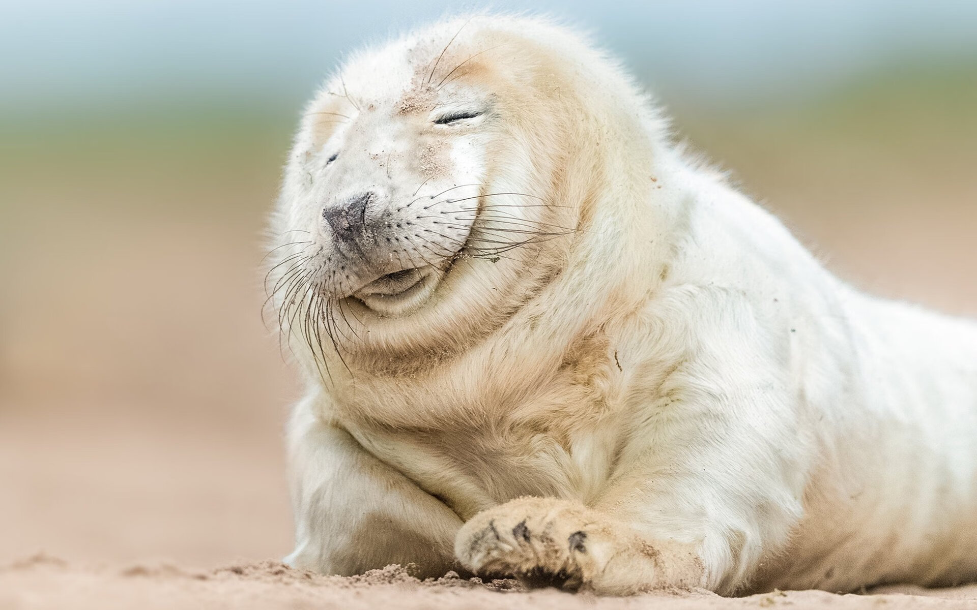 kaiyun官方网站-青少年“篮球梦想计划”在浙江全面落实，助力青训创新，青少年篮球队训练计划