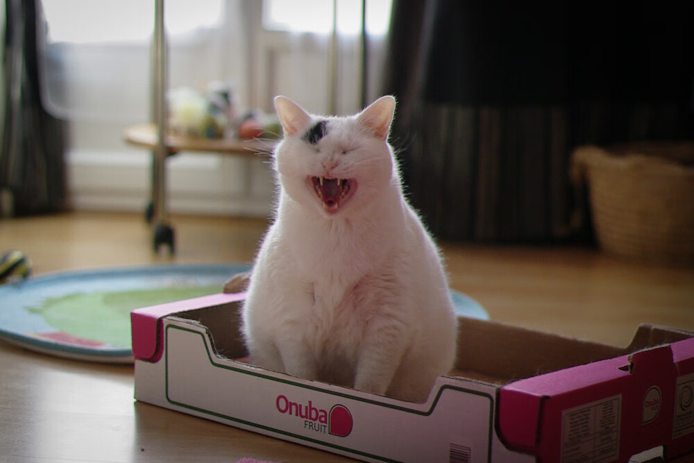 kaiyun官方网站-新规则试点推动比赛节奏提升，比赛节奏的概念