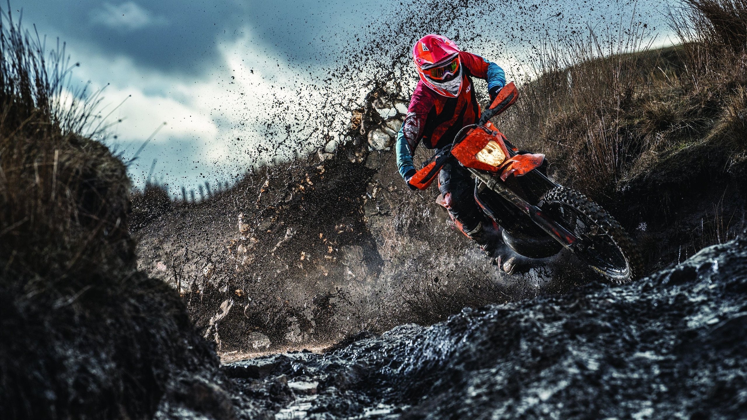 《电竞赛事的“黑马”战队逆袭奇迹》，电竞圈黑马